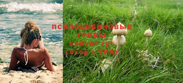 винт Армянск