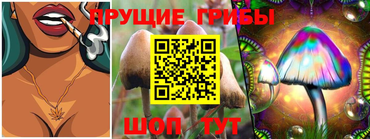Псилоцибиновые грибы мицелий Джанкой