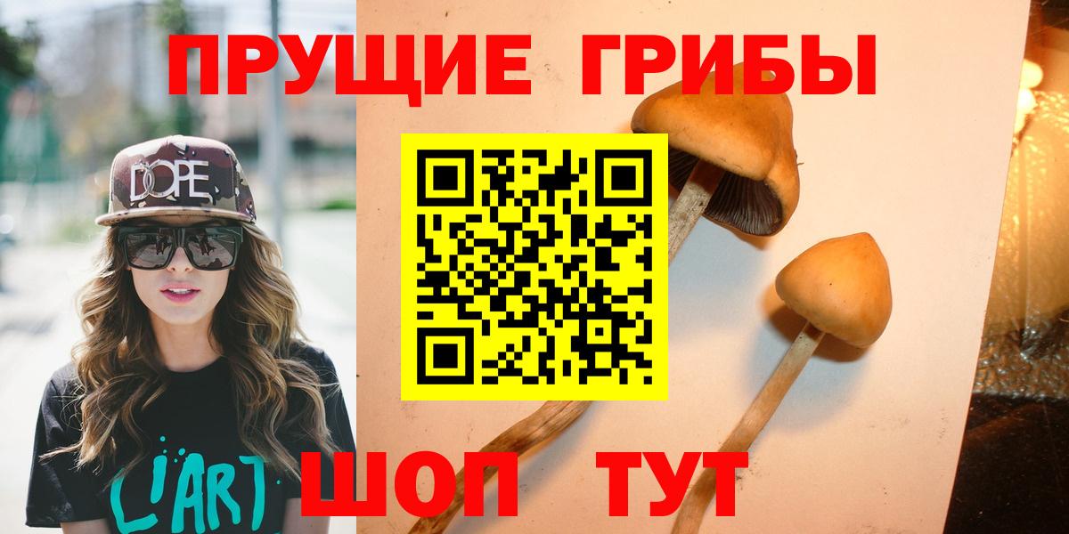 Псилоцибиновые грибы Psilocybe  Вход с VPN  Джанкой  Галлюциногенные грибы Psilocybine cubensis 