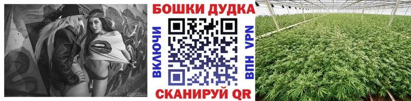 Каннабис индика  omg ссылки  мориарти как зайти  Джанкой 